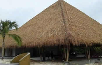 bamboo house