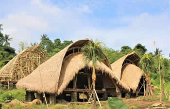 bamboo house