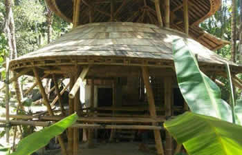 bamboo house