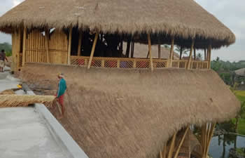 bamboo house