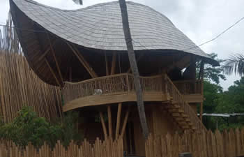 bamboo house
