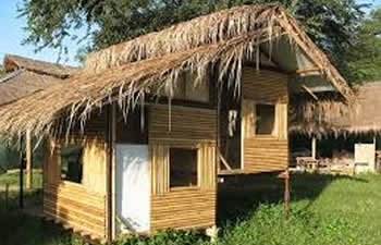 bamboo house