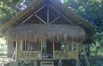 bamboo house