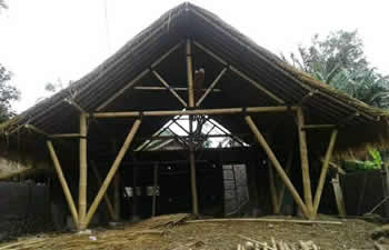 bamboo house