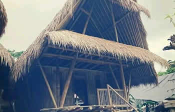 bamboo house