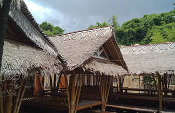bamboo house