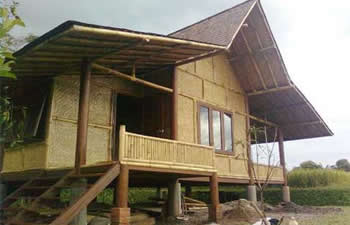 bamboo house