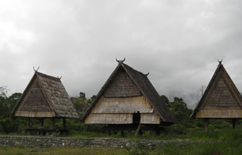 central sulawesi house