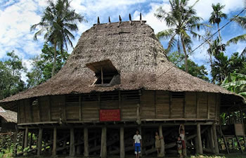 nias house