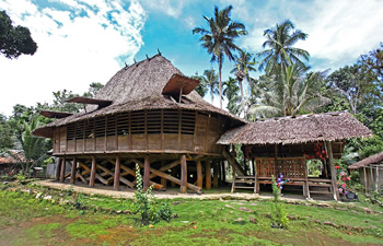 nias house