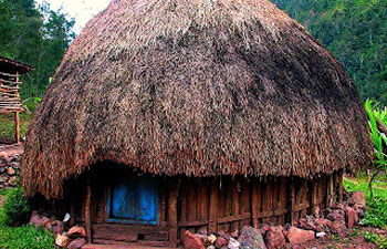 papua house