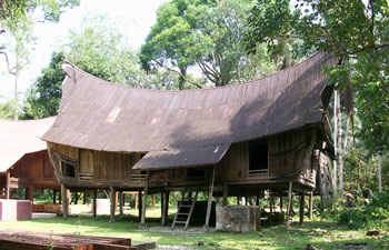 riau house