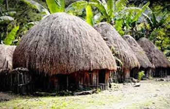 rumah papua