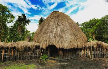 rumah papua