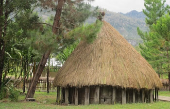 rumah papua