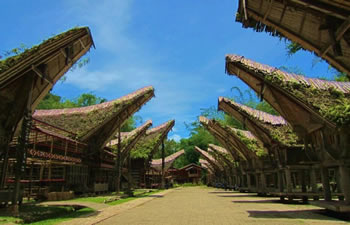 south sulawesi house
